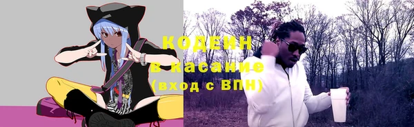 индика Армянск