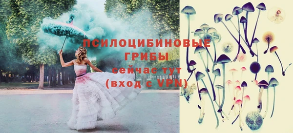 стаф Баксан