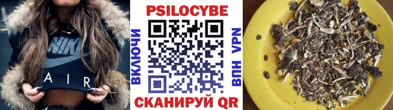 Псилоцибиновые грибы Psilocybe  сколько стоит  Солнечногорск 