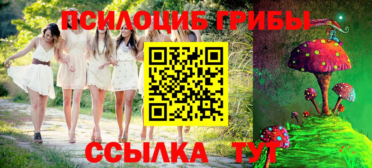 Псилоцибиновые грибы мицелий  Галлюциногенные грибы Cubensis  Солнечногорск  Вход с VPN 
