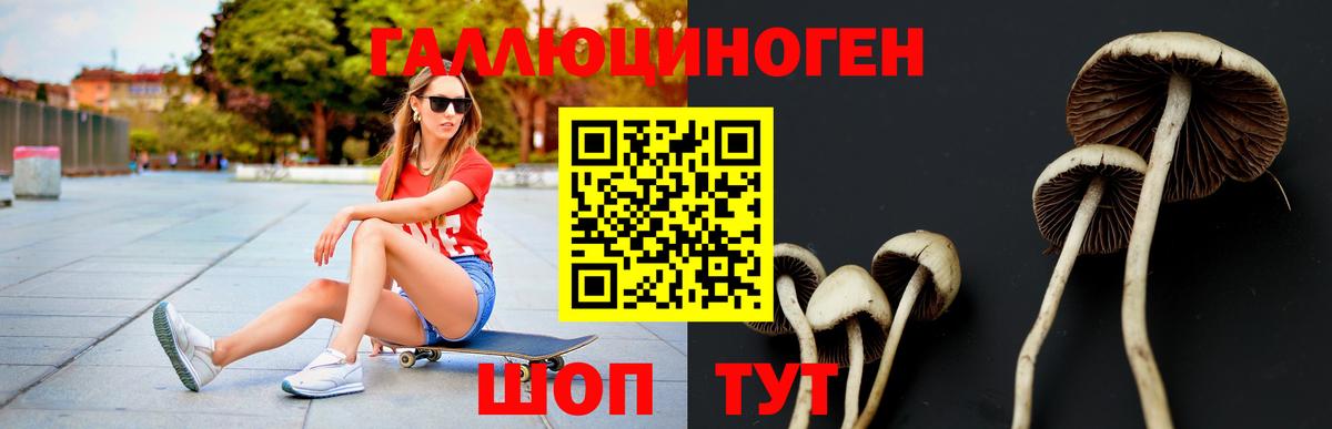 Псилоцибиновые грибы GOLDEN TEACHER Солнечногорск